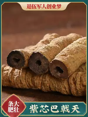 Thick strips of fresh Morinda Morinda 500g Chinese herbal medicine tea brewing wine powder can be used with Eucommia flagship store