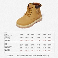 228241 теплый солнце медовый хризантема желтый