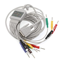 Вставка патфэджа 3.0 Европейский стандарт (внутренняя рекомендация) (отдельная ведущая линия)