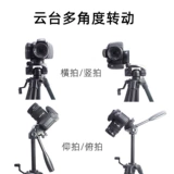 Мобильный телефон Bluetooth селфи дистанционное управление Apple Apple Android Universal Shutter Shutter Control Беспроводная камера роман роман романы Ruming Pagering Douyin Fast -Moving Short Video Live Artifact