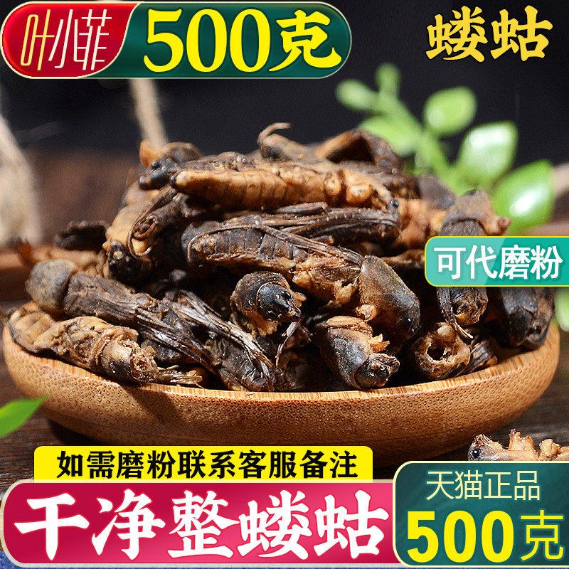 Chinese medicine - made raw dog bulk 500g without impurities can be milled for free locust crickets