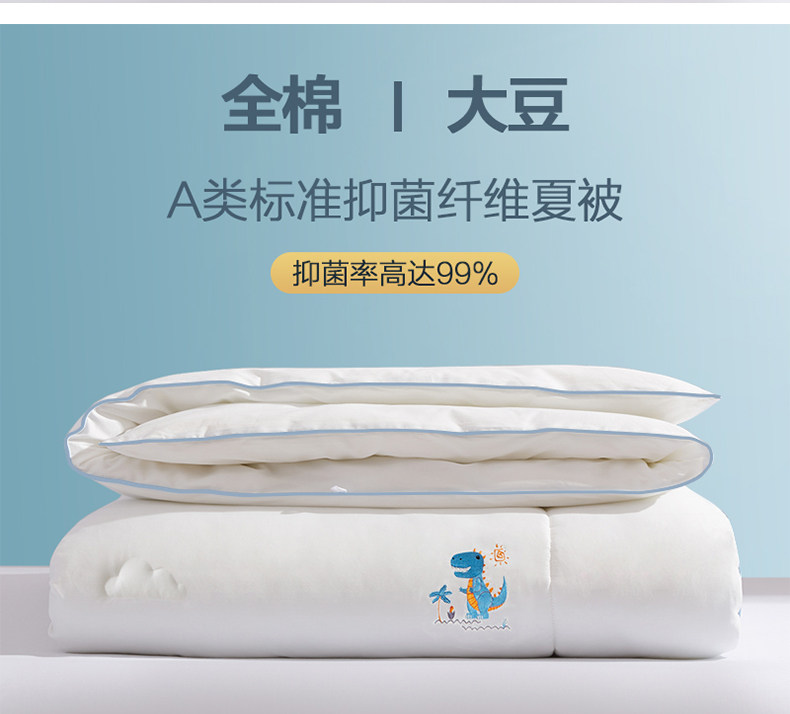 BEYOND博洋 新疆全面 英威达抑菌大豆纤维被 120*150cm 图11
