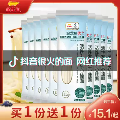 Alongus Excellent Active Fermented Hollow Noodles 150g Independent Small Bags Smooth Cold Noodles Mixed Noodles