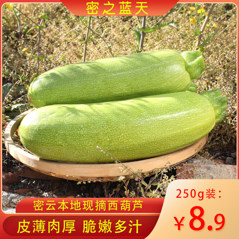 Beijing Miyyun local zucchini fresh vegetables are now picked up 1 about 250 g fragile and delicate angle melon