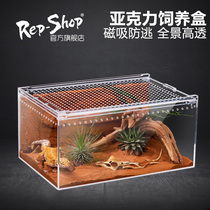 Climbing Darling Acrylic Rearing Box Reptile Patron Crab Box Lizard Lizard Snake Angle Frog Spider Snail Beetle Ecotank