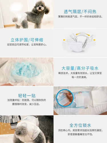 [Тигр] собачьи физиологические штаны Тедди Петки домашние животные, моча, санитарная салфетка, женские менструальные тети