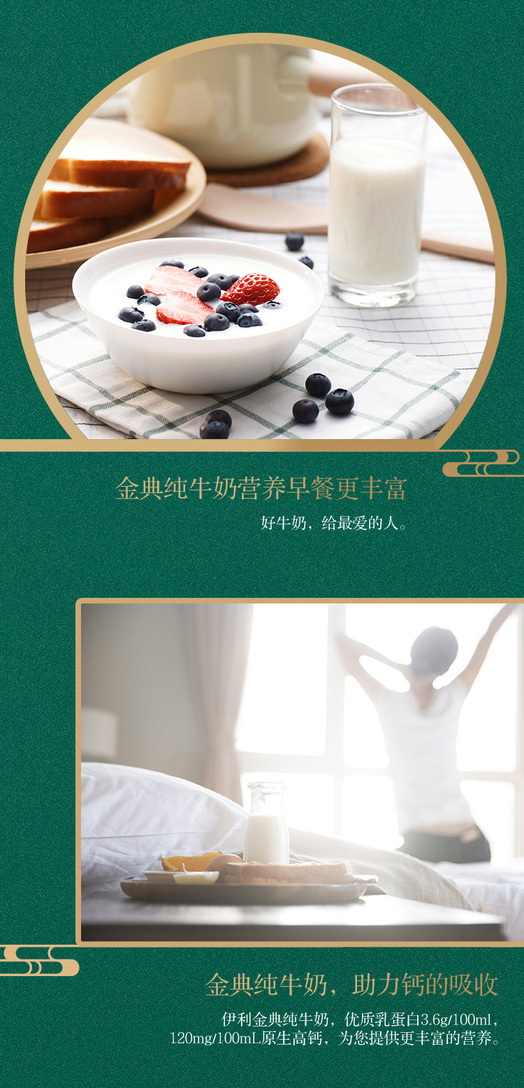 伊利 金典 高蛋白纯牛奶 250ml*12盒 整箱装 图4