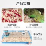 Петухолочное паряч