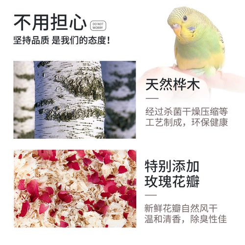 Петухолочное паряч