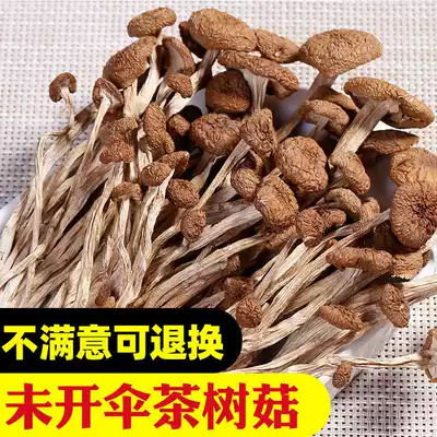 Fine products do not open umbrellas tea tree mushrooms dry goods new goods farm self-produced new goods thin rod long handle unopened umbrella Tea Tree