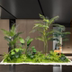 Indoor Artificial Plant Landscaping Large-Scale Landscape Decoration with Areca Palm for Restaurants, Shopping Malls, Hotels, and Companies; Fake Green Plant Ornaments