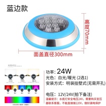 Peter Cat Swimming Pool Wall Light LED Outdoor stainless steel underwater lamp hot spring water view low pressure 12v24V colours