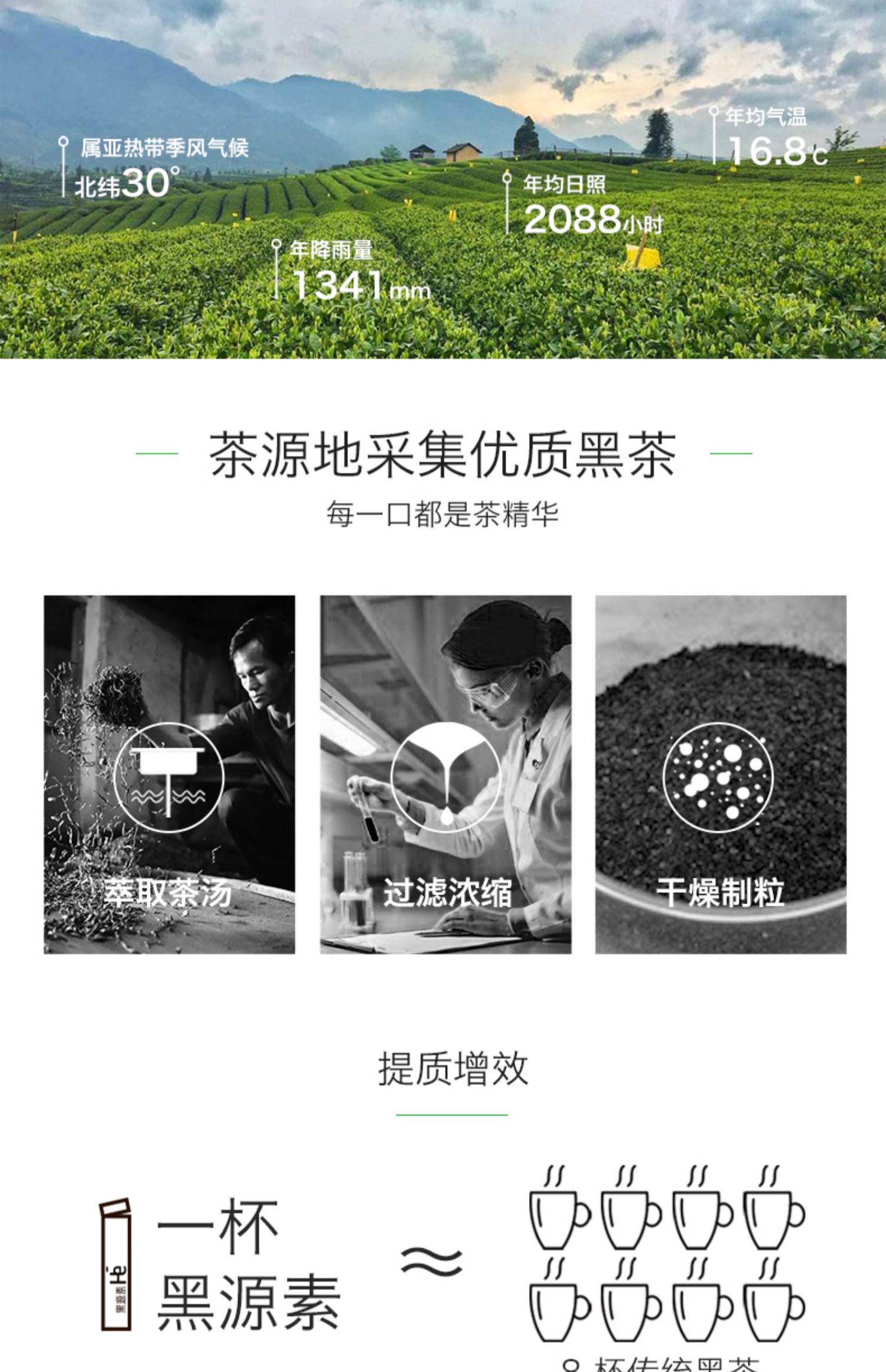 玖花行黑源素清肠黑茶粉18支/盒