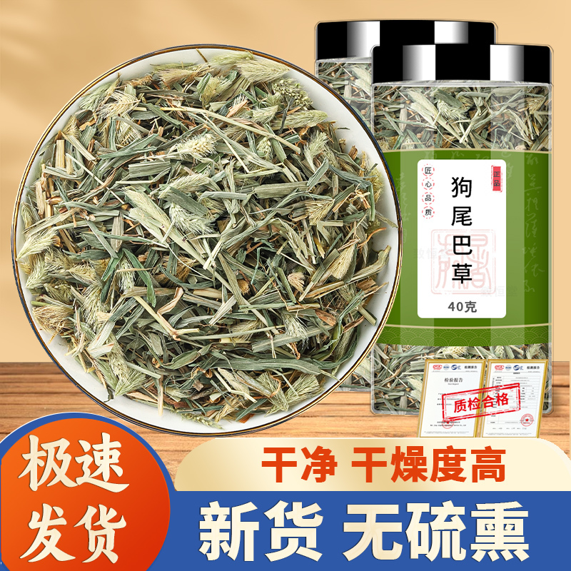 Dog's Tail Grass Chinese Medicinal Herb 500g Genuine New Product Dog's Tail Grass, Caterpillar Grass, Grain Grass, Nine-Tailed Grass