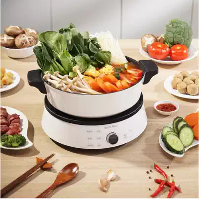 Rileosip YLS-J02 Induction cooker Electric hot pot Multi-function pot boiling water noodles fried steak