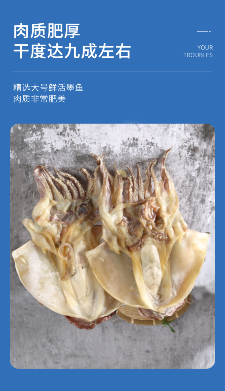 食锦霖 东海野生大号墨鱼干 500g 2只 九成干无添加 图4