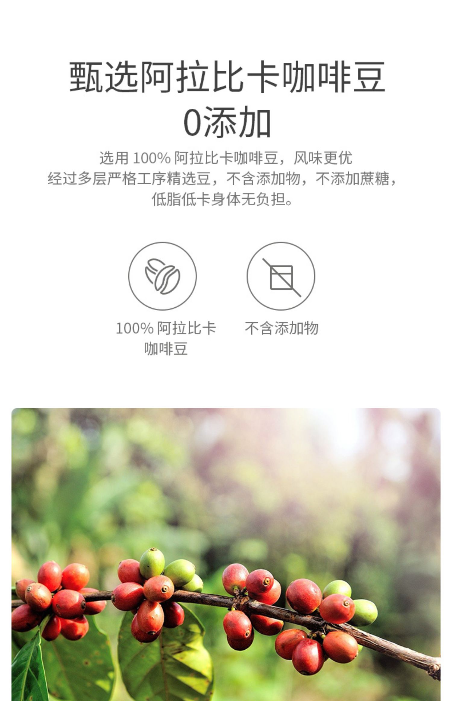 COSTA咖世家冷萃冻干咖啡