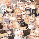 큰 눈을 가진 귀여운 고양이 스티커 50개, 귀여운 만화 휴대폰 케이스, 노트북 가방, 독창적인 맞춤 장식, 방수 아이패드