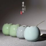 Longquan Celadon Egg Shell Water Water Moade Медная ложка маленькая ручка для мытья чернила бабочка для промывки ручки.