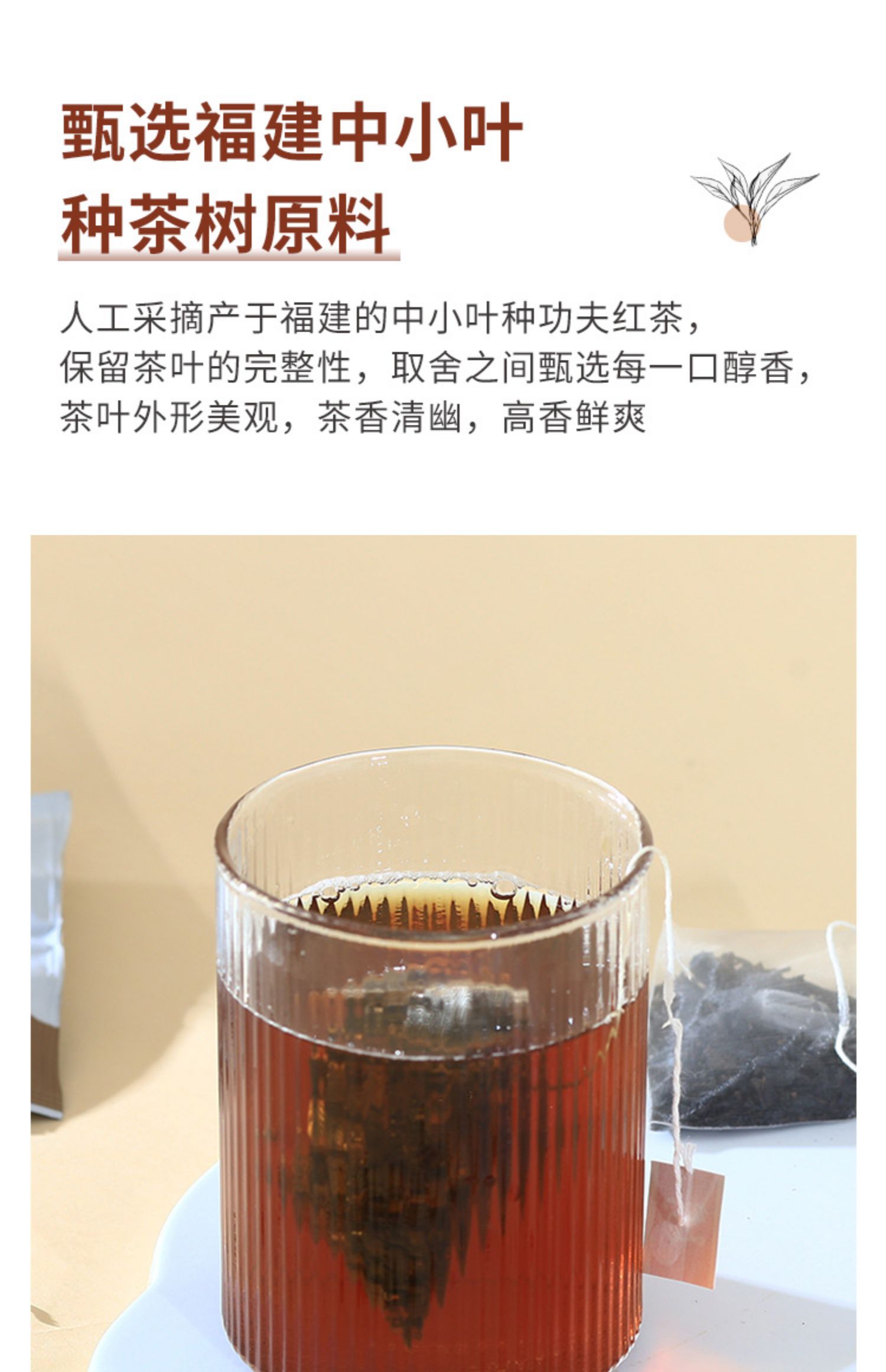 首单！禧小饮蜜香红茶三角袋冷泡茶