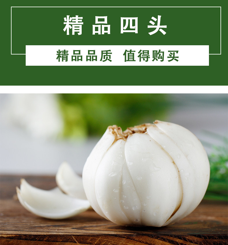 甘肃特产 兰州新鲜百合 两斤 图2