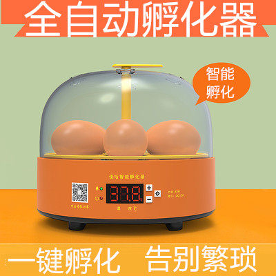 Incubator small automatic mini chick smart household type children goose duck bird hatching egg incubator constant temperature