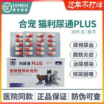Pet cat diuresis tongmiuria tong PLUS pet cat cystitis infection urinary stones hematuria frequent urination