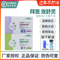 Pet Shuling Cat Pet Dog Urinary Calculus Urinary Blood Cystitis Urinary Infection Expelling Stones By En Pet Shuling AM2000