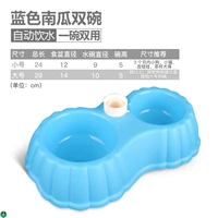 Тыква синий гидром