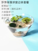 Утка зеленые водоросли шарики водные горшки