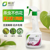 Kyaukclean Insecticide Flowers Plant Flowers And Grass Insect Killing Spray Household Indoor Potted Plant Green Plant Small Flying Insects Deinsectites