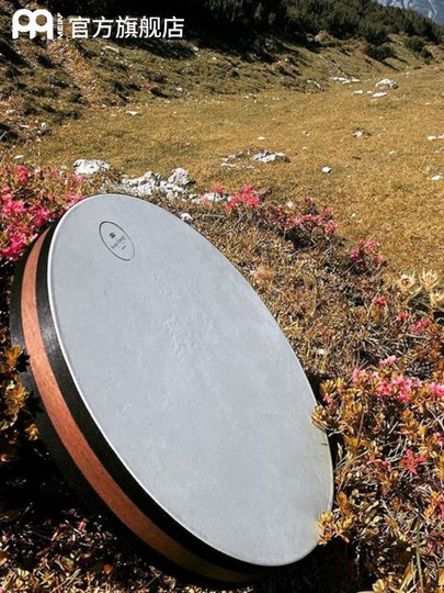德国麦尔MEINL进口海浪鼓羊皮海洋鼓拟声鼓专业音疗海鼓小众乐器
