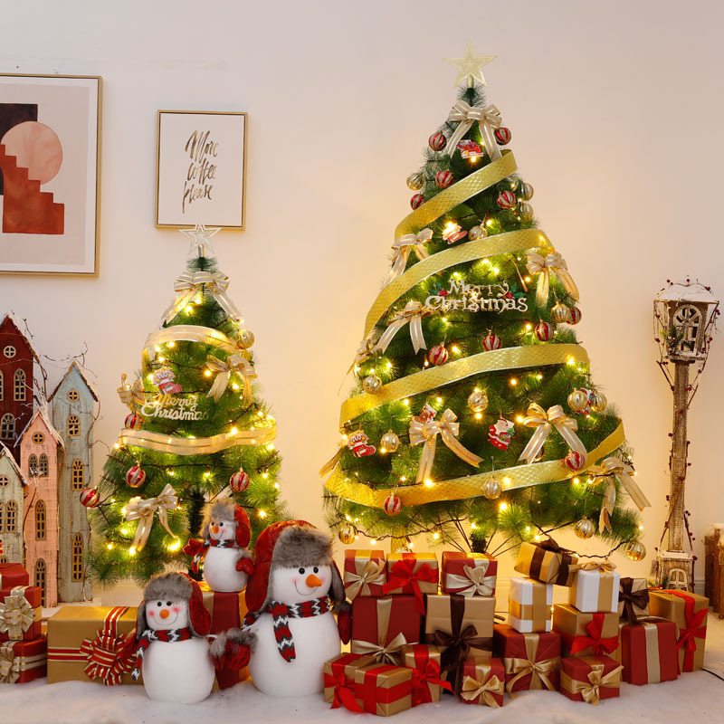 Pine Needle Christmas Tree Package 1 5 m 1 8 m 2 1 m 2 4 m 3 m Home Decoration Christmas Decoration