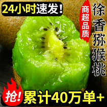Shaanxi Meixian Xuxiang kiwi fruit 15 small fruits fresh seasonal whole box kilogram kiwi fruit