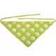 Светло -зеленый [Tai Chi Triangle Scarf]