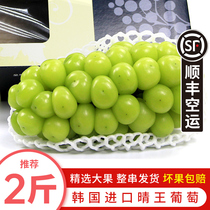 South Korea Qingwang 1 bunch 2 pounds imported sunshine rose grape incense print Green Gift Box fresh fruit SF air freight