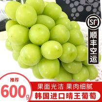 South Korea Qingwang Sunshine Rose Grape 600 grams fresh fruit fragrant in print green tip seedless tip SF air freight