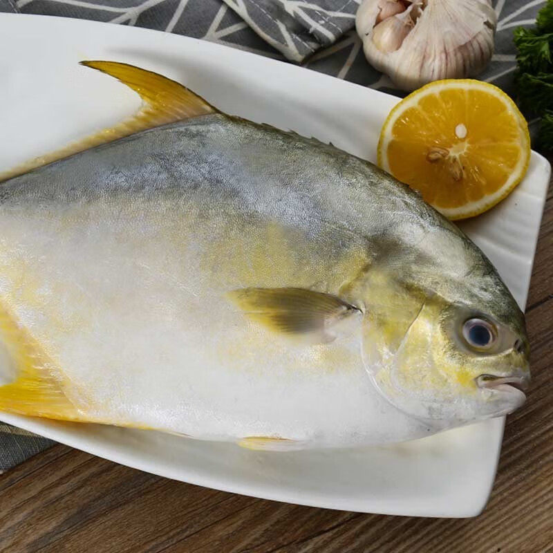 金鲳鱼、鲳鳊鱼、昌扁鱼有何区别？哪种更适合日常餐桌？-鲳鱼-淘宝好物网