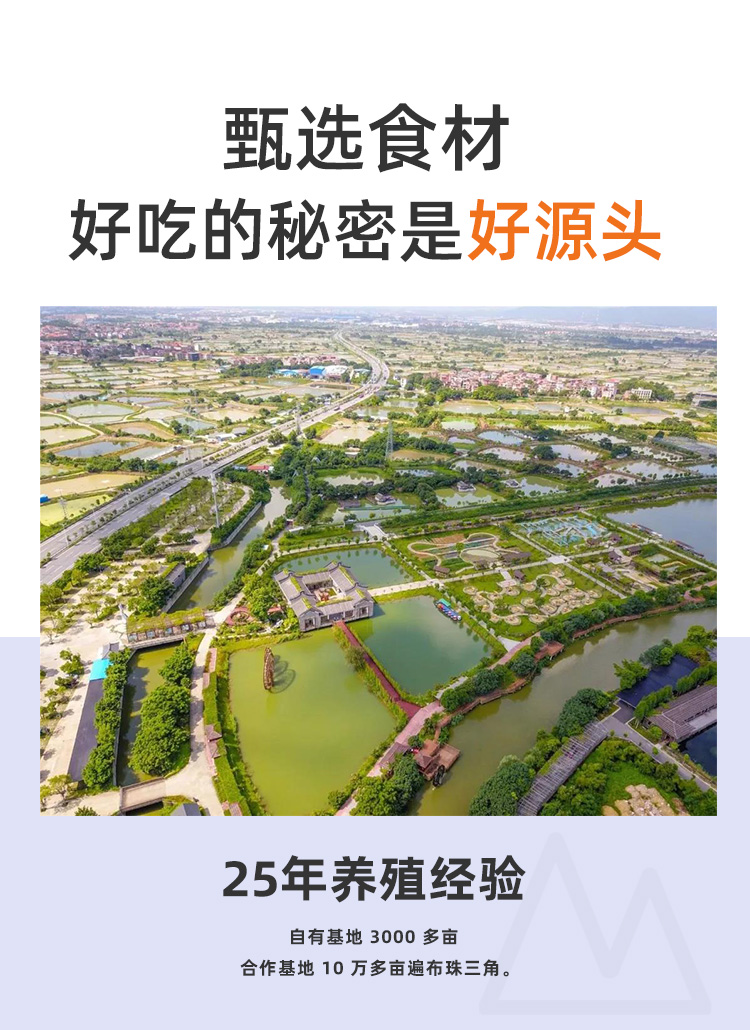 蹦蹦鱼 精品黑鱼片 250g*6包 鲜活现切 图8