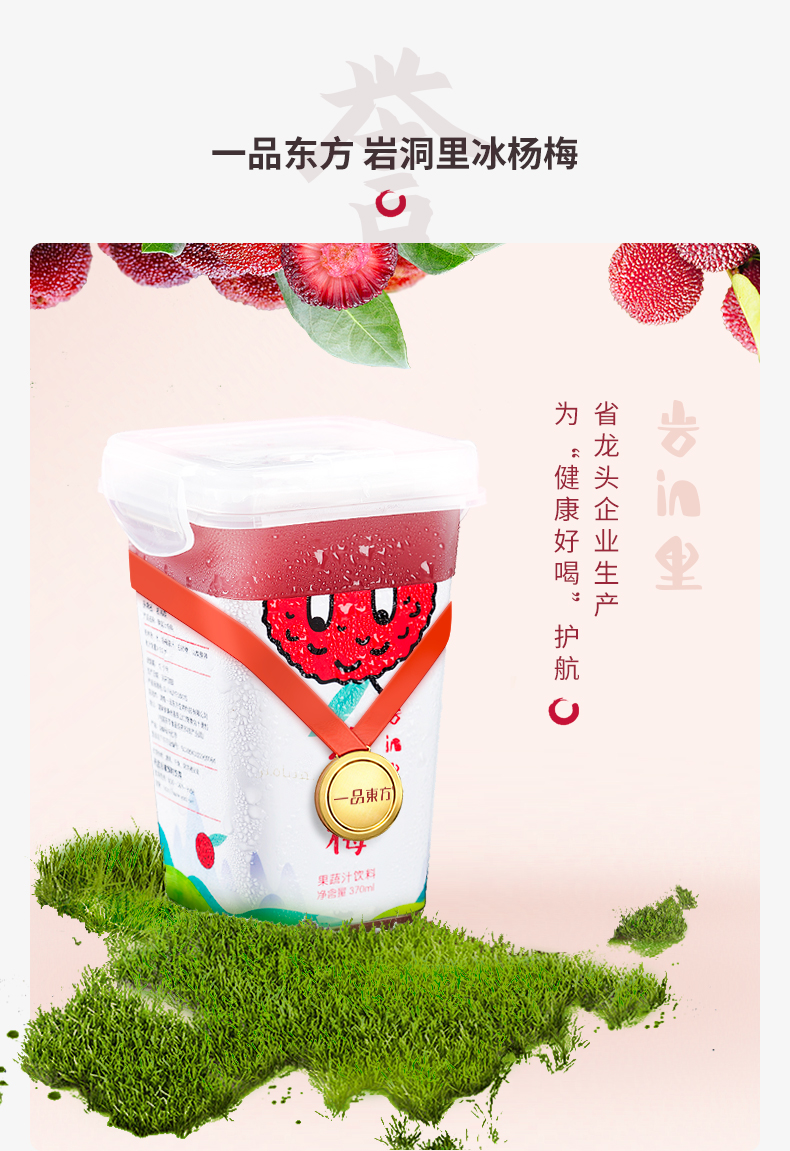 一品东方冰杨梅汁360ml*6瓶