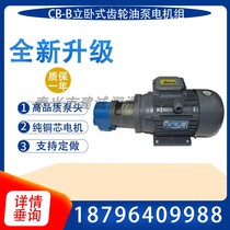 CB-B16 B25 B32 Gear Lubricating Oil Pump Motor LWBZ-40 10 CB-B-50 63 80 125JZ