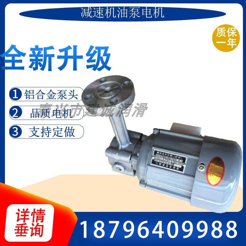 Cycloidal pinwheel reducer lubrication ZCB rotor oil pump motor 40W explosion-proof ZCB CB-1 2 1 4 0 8