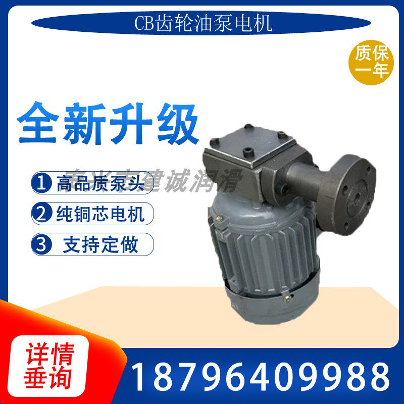 Reducer lubrication CB-1 2 0 4 CB-1 0 8 1 5 2 2 1 0 rotor gear oil pump motor