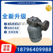 Reducer lubrication CB-1 2 0 4 CB-1 0 8 1 5 2 2 1 0 rotor gear oil pump motor
