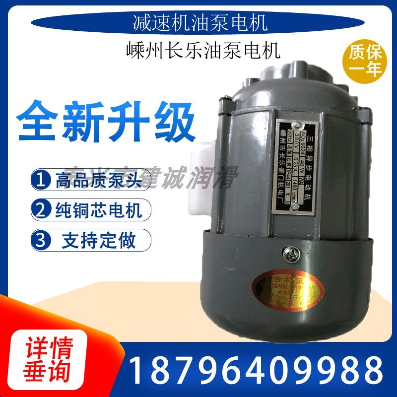 AO25024 three-phase asynchronous motor A02 5024 40W oil pump 60W Shengzhou Changle Haomen CB1 4