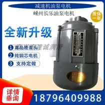 AO25024 Three-phase asynchronous motor A02 5024 40W oil pump 60W Shengzhou Changle Haomen CB1 4