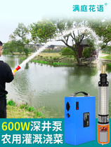 Pumping machine Agricultural irrigation watering vegetable water pump outdoor DC charging 48V electric vehicle pumping well submersible pump