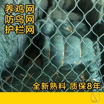 2021 pheasant net seedling net small hole net chicken net breeding pigeon subnet breeding net bird net breeding net 2cm