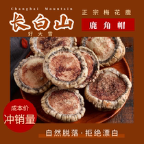 Sika Deer Selected Antler Hat Whole Care for Women Luxiang Origin Authentic Deer Flower Plate Antler Tray 250g