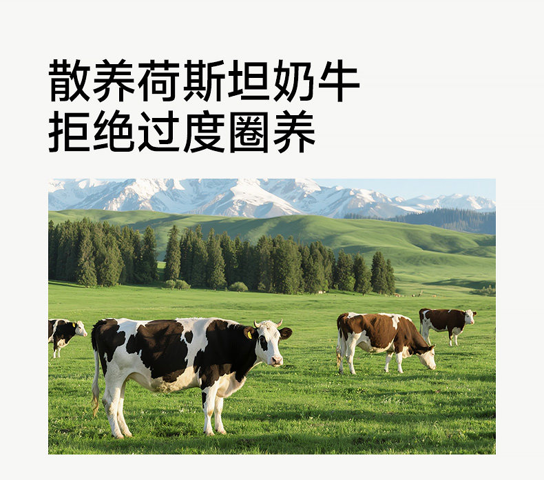 O1CN01ROELd822Rdrd7iwTx_!!2207926097117.jpg